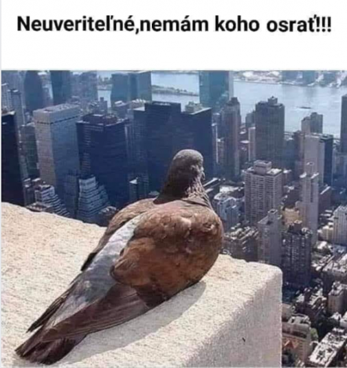 Niet nikoho